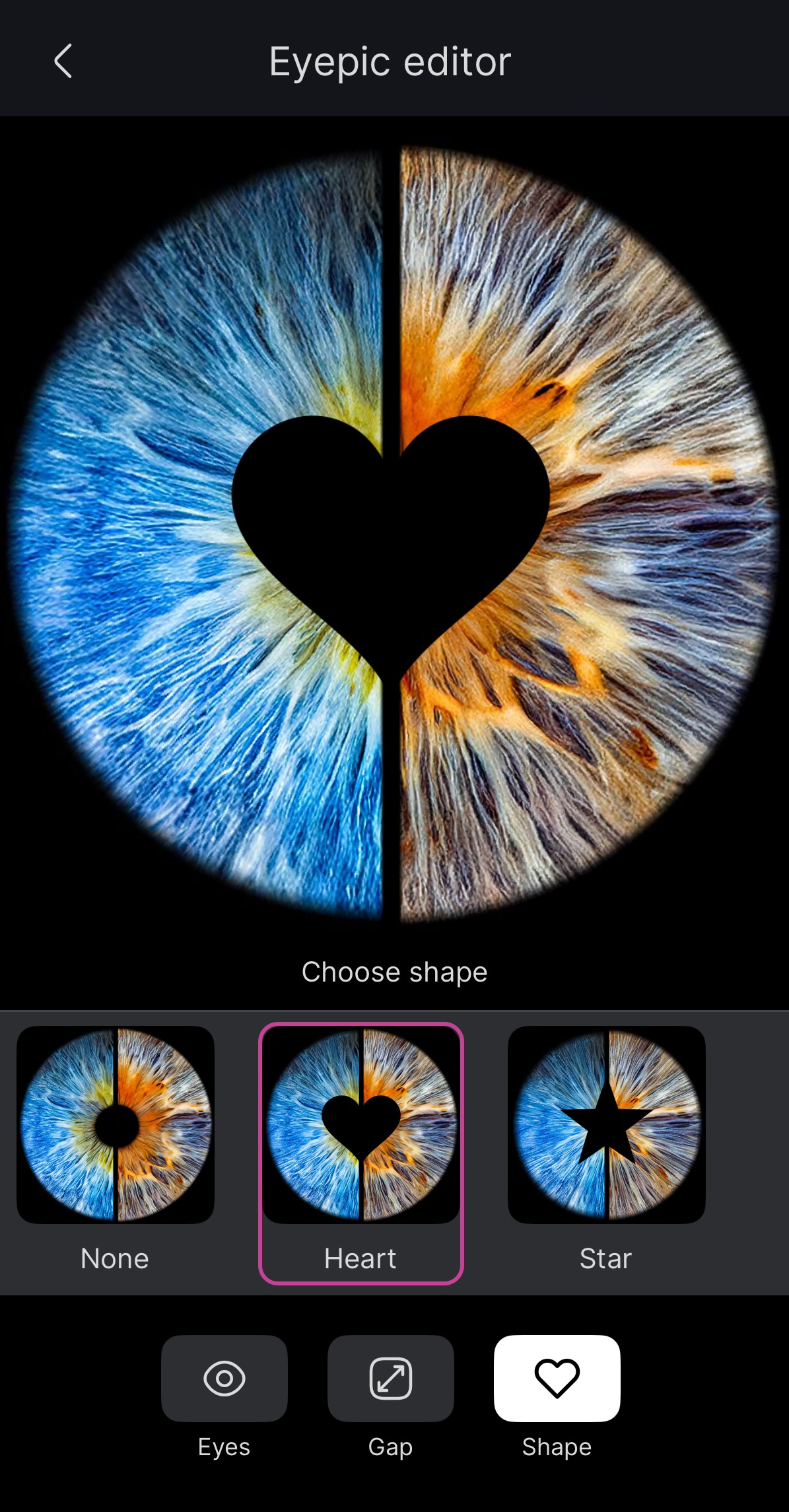 Eyepic Editor Interface